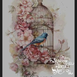 La Voliere Two - Rub on Image Transfer